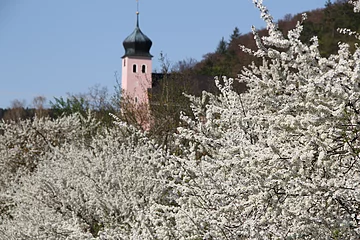 Kirche in Erlingshofen